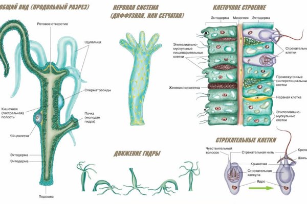 Kraken сайт анонимных