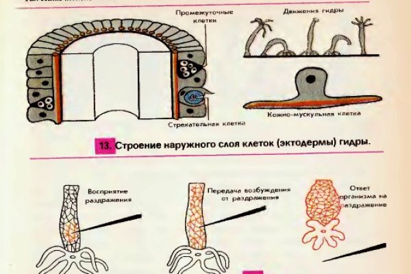 Кракен это площадка